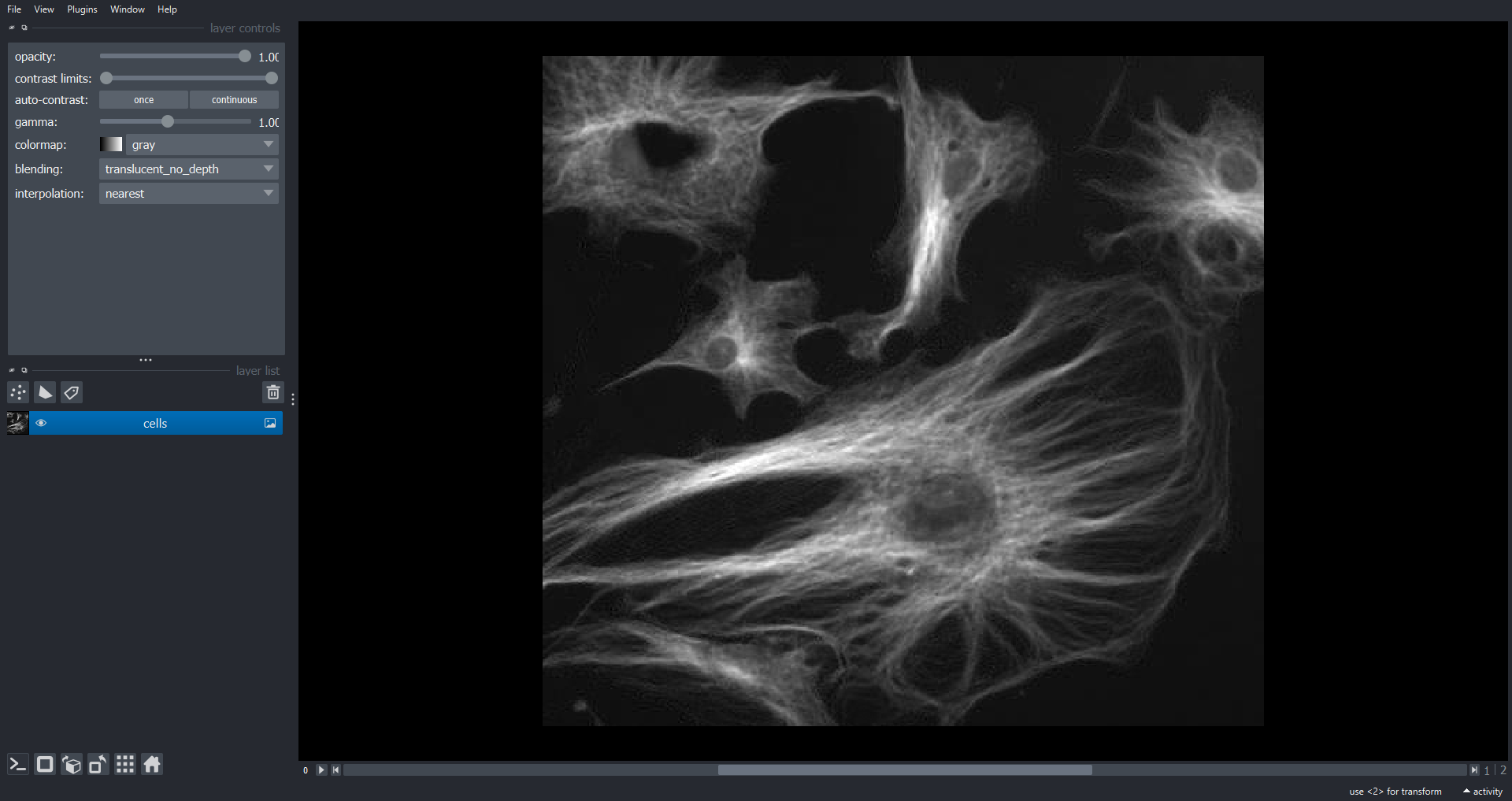 Napari viewer showing the multichannel cells image