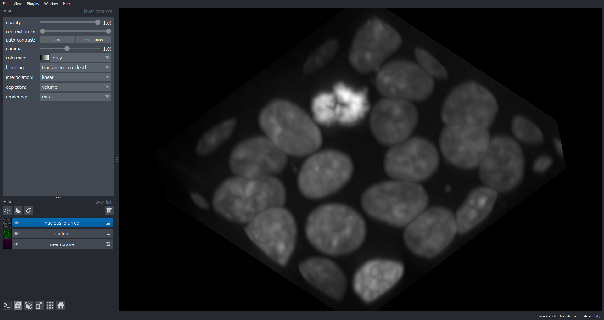 Napari viewer showing the 3D blurred nuclei volume
