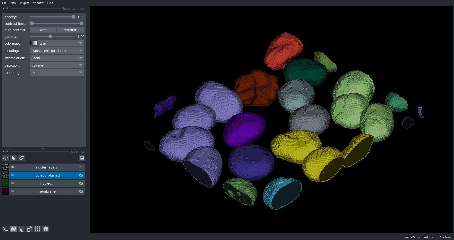 Napari viewer showing the 3D labelled nuclei volume