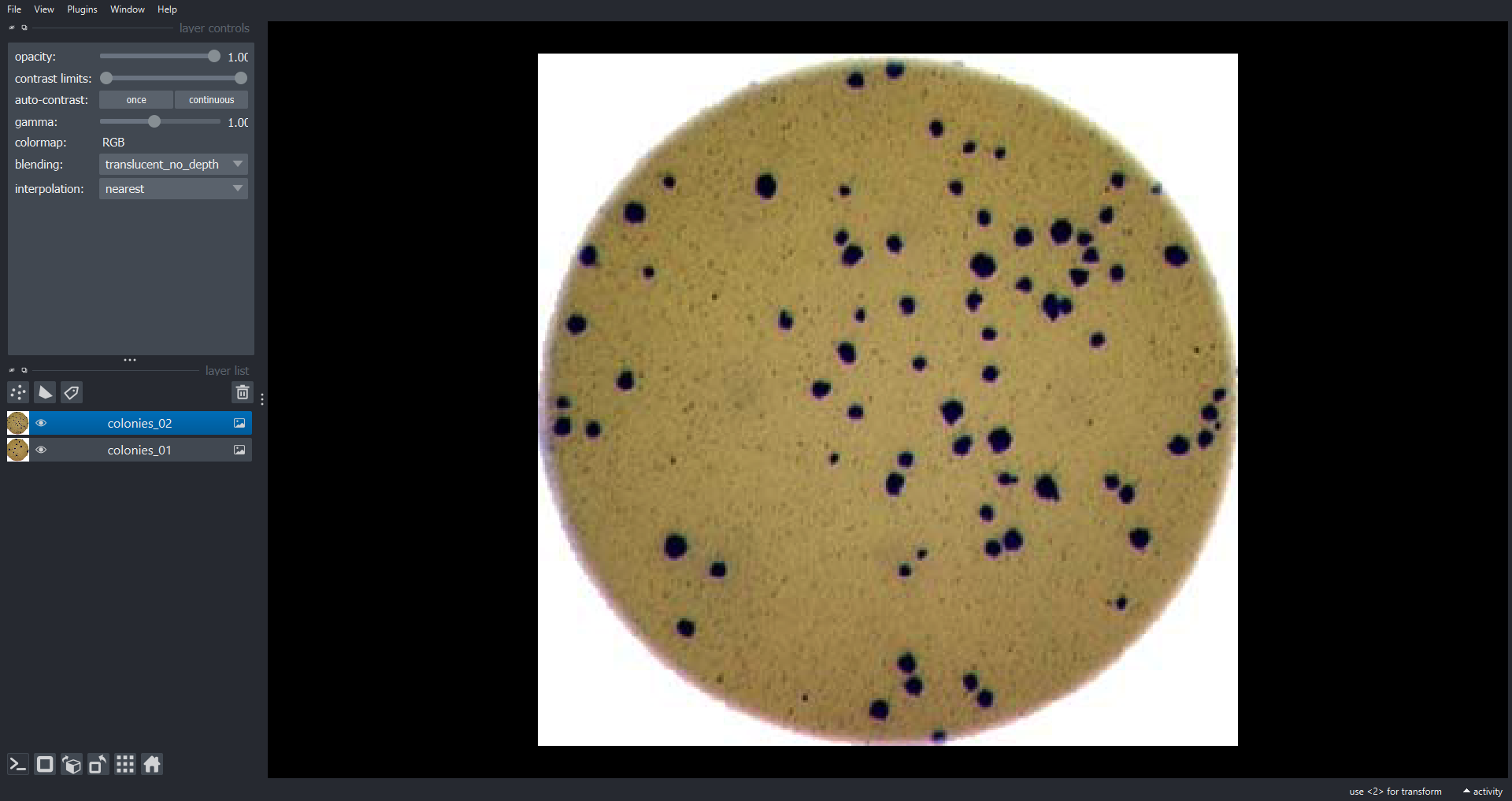 Napari viewer showing two bacteria colony images as RGB layers