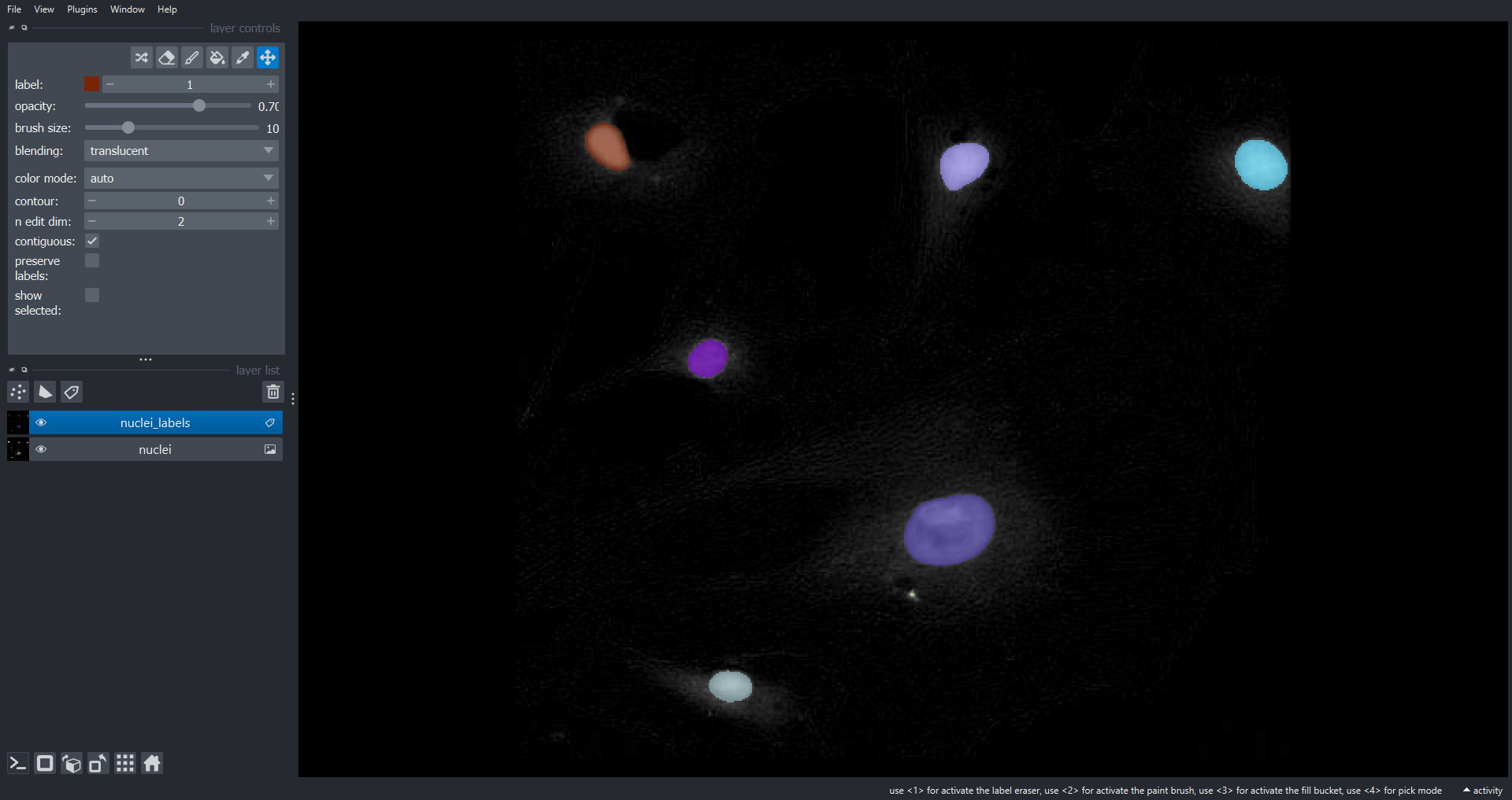 Napari viewer showing the nuclei channel with labelled connected components overlaid