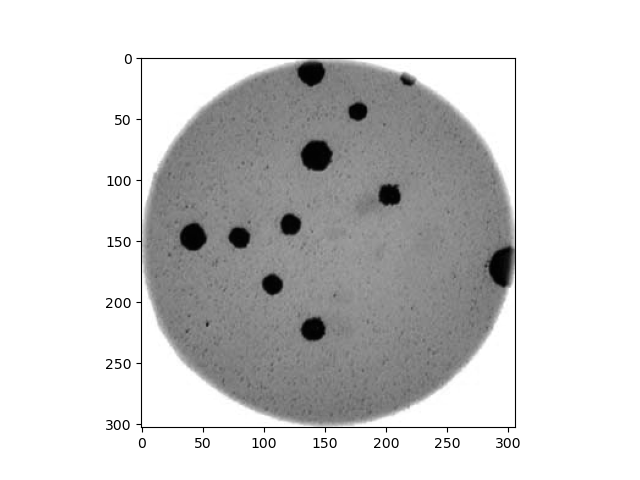 Grayscale version of the Petri dish image