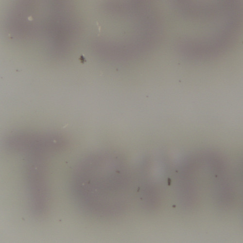 The image saved as a TIFF with lossless compression.