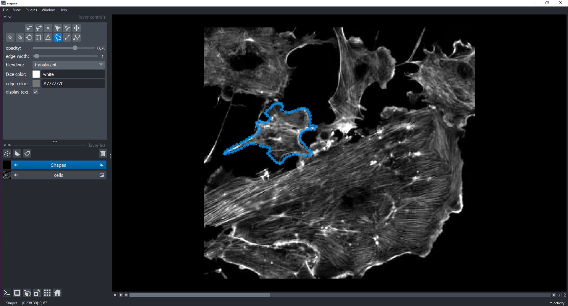 Napari viewer showing all three cell channels with a Shapes layer for interactive annotation